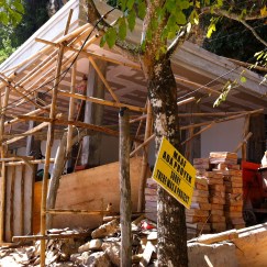 IMG_4843 - Versión 3