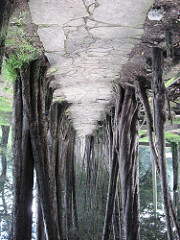 4928284948_7d7417a08f_m