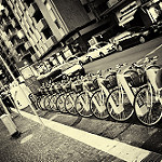 4206461110_2d34cca10c_q